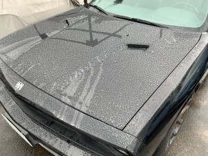 IMG_0461